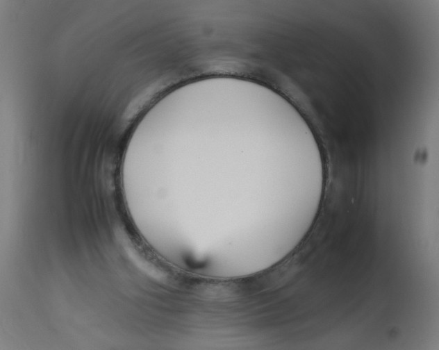 X0000113220106200910081351