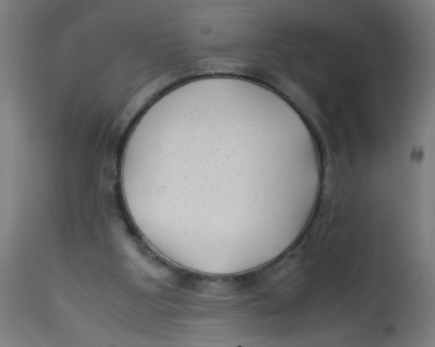 X0000113220107200910081351