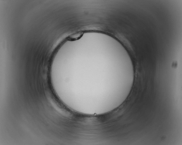 X0000113220108200910081351