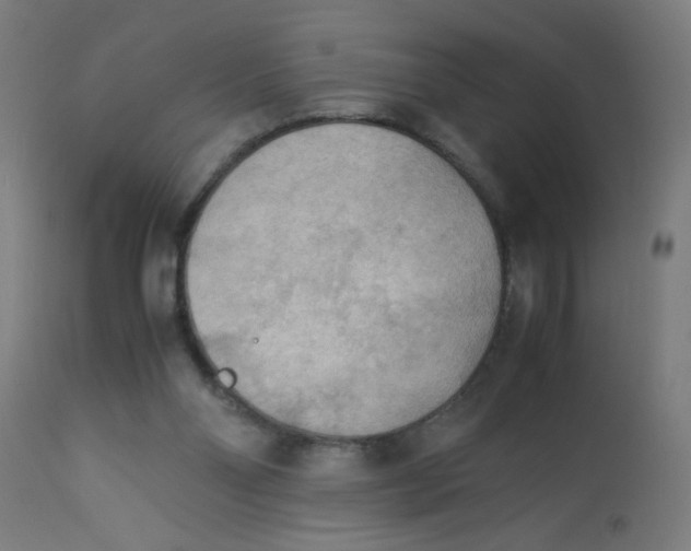 X0000113220110200910081351