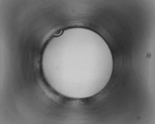 X0000113220112200910081351