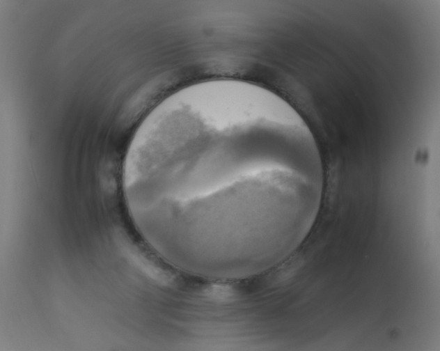 X0000113220114200910081351