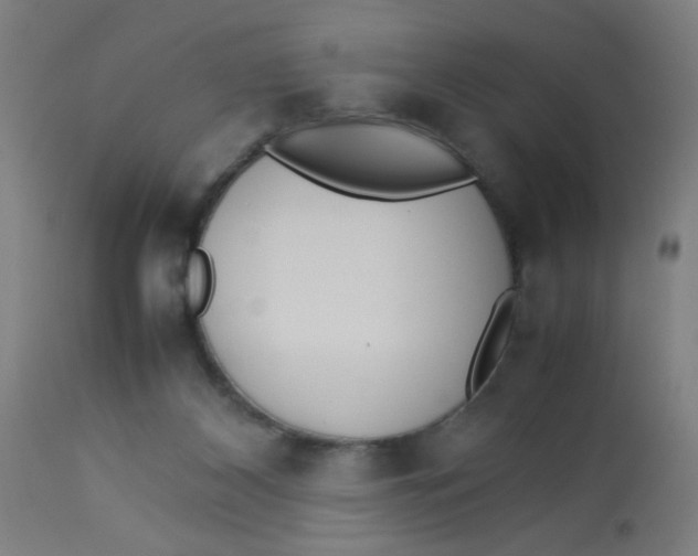 X0000113220116200910081351