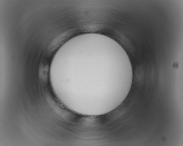 X0000113220118200910081351