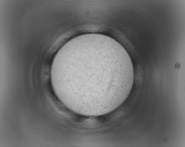 X0000113220119200910081351