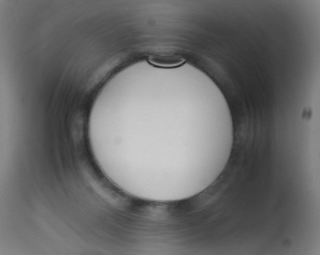 X0000113220120200910081351