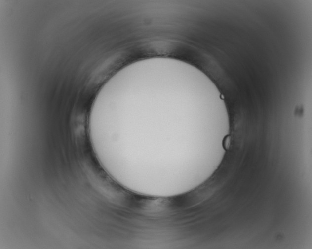 X0000113220122200910081351