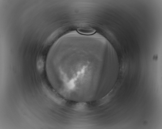 X0000113220124200910081351
