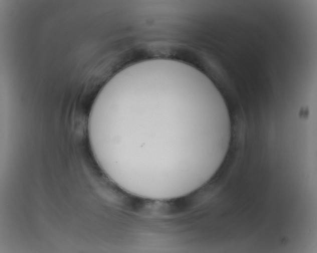 X0000113220125200910081351