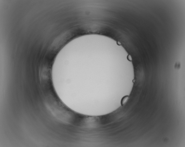 X0000113220126200910081351