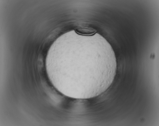 X0000113220128200910081351
