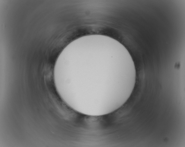 X0000113220129200910081351