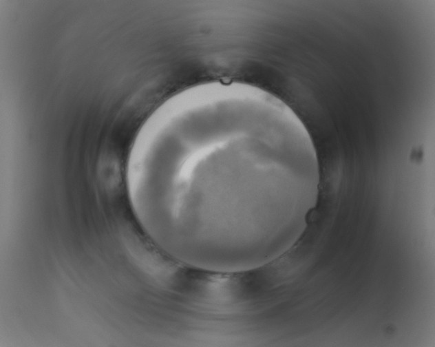 X0000113220130200910081350
