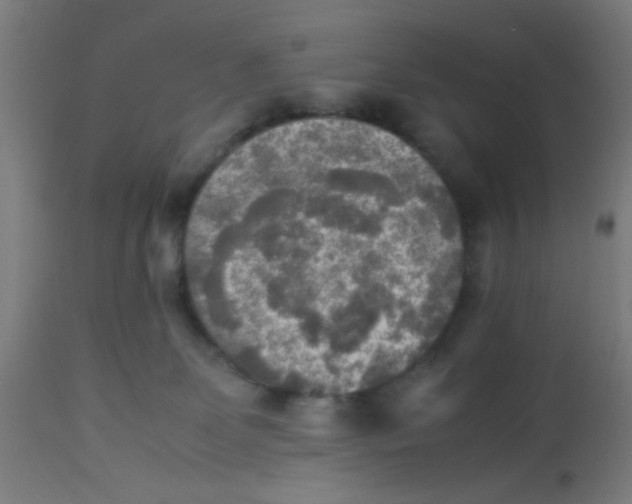 X0000113220131200910081350