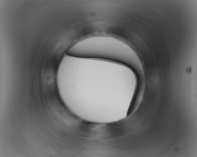 X0000113220132200910081350