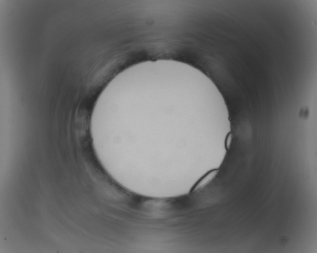 X0000113220133200910081350