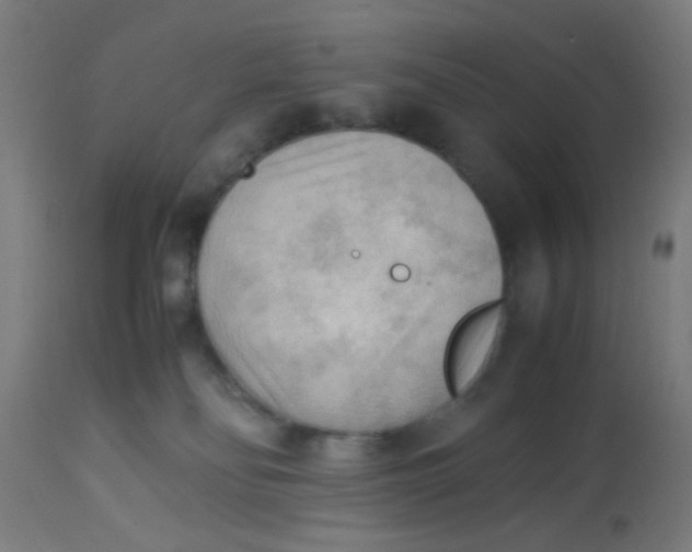 X0000113220134200910081350
