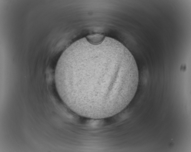 X0000113220135200910081350
