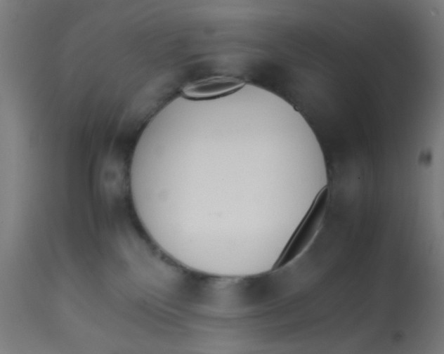 X0000113220136200910081350