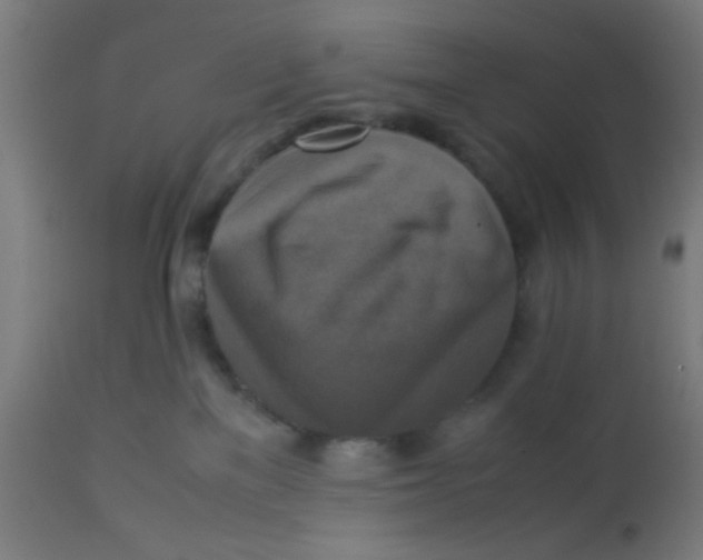X0000113220137200910081350