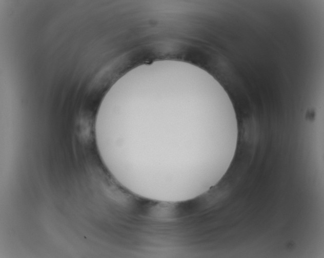 X0000113220138200910081350