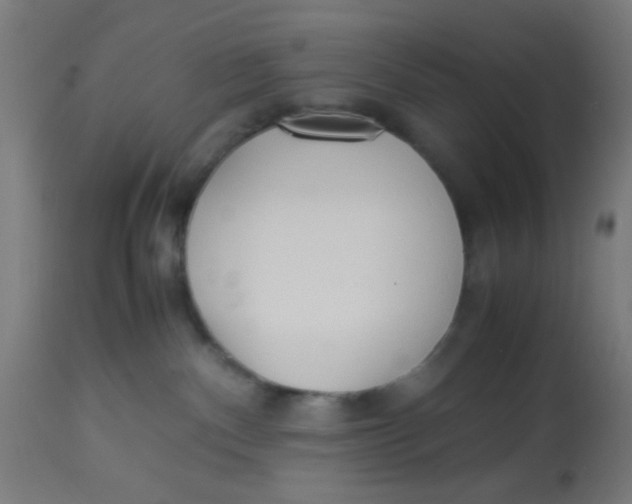 X0000113220140200910081350