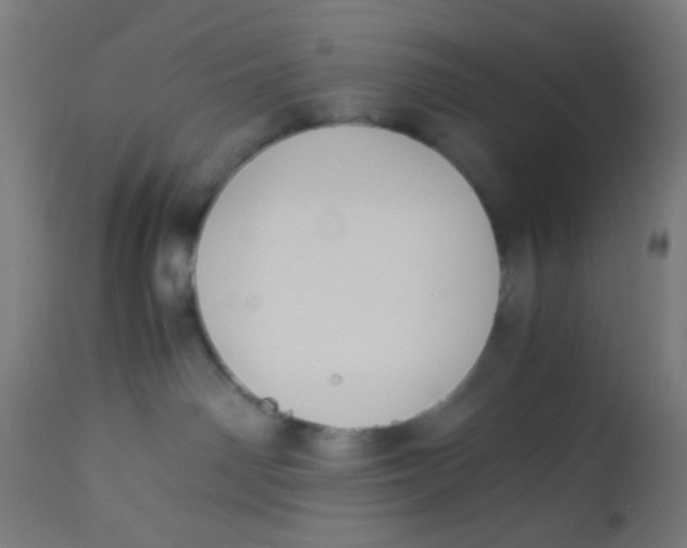 X0000113220142200910081350