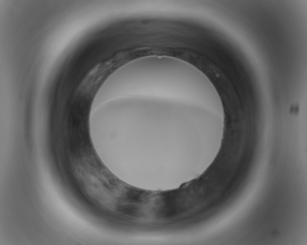 X0000113220143200910081350