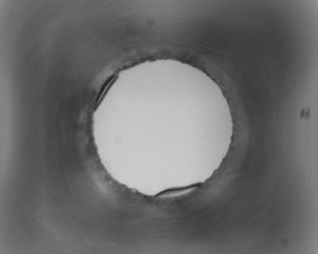 X0000113220144200910081350