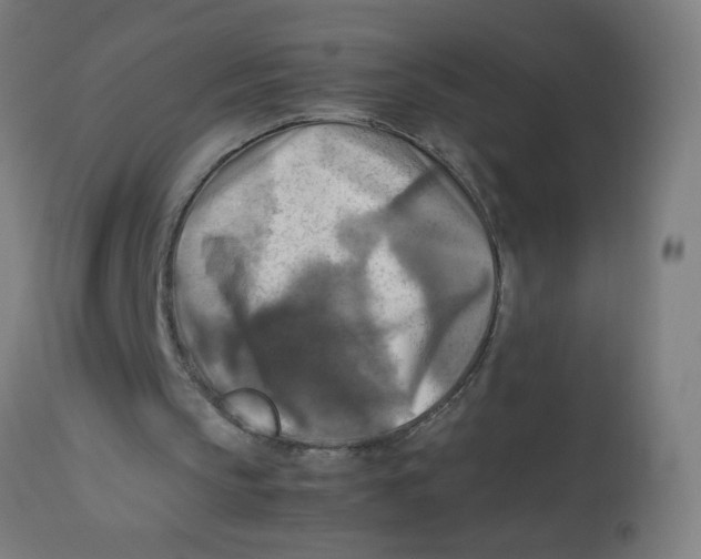 X0000113220145200910081349