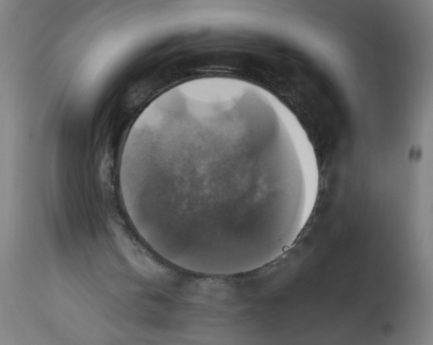 X0000113220146200910081349