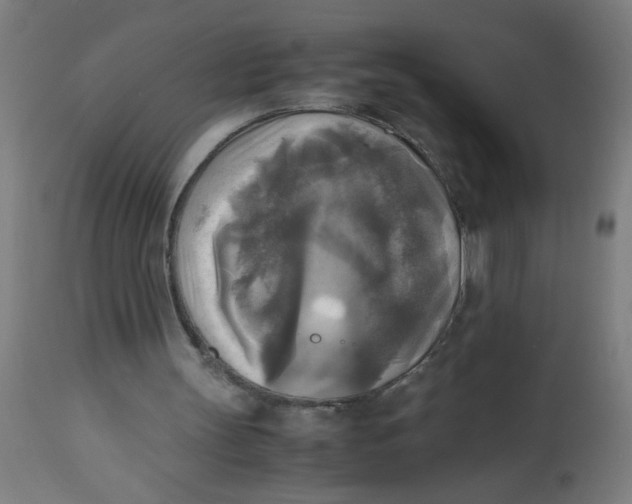 X0000113220147200910081350