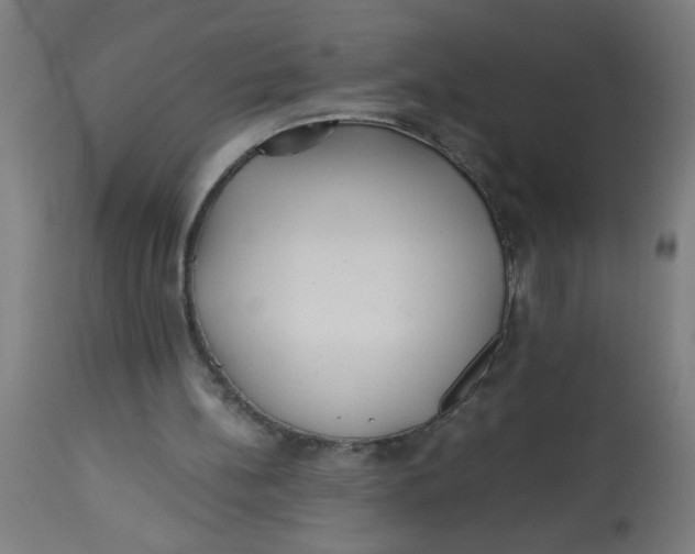 X0000113220148200910081350