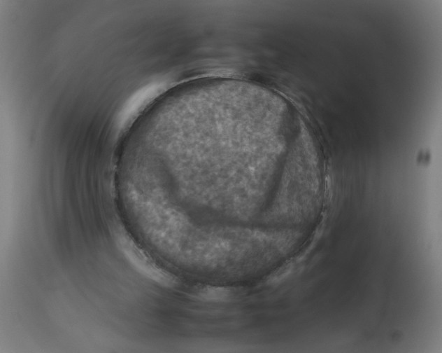 X0000113220149200910081350