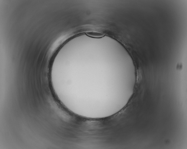 X0000113220150200910081350