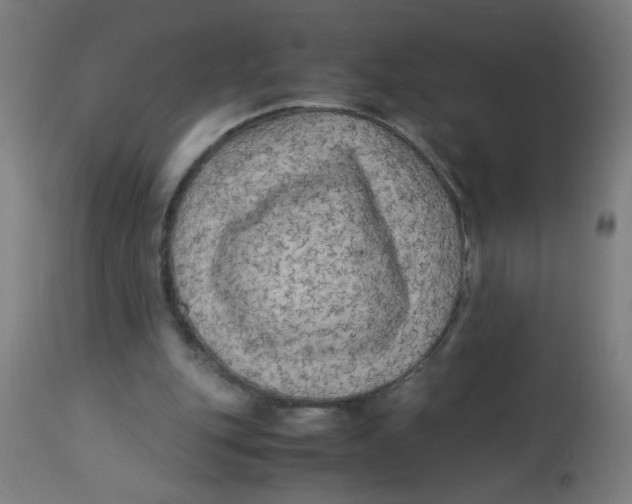 X0000113220151200910081350