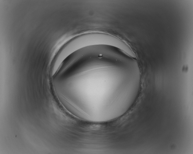 X0000113220152200910081350