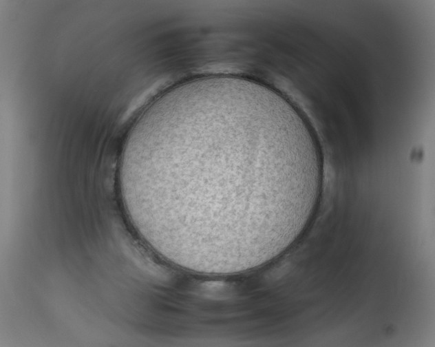 X0000113220153200910081350