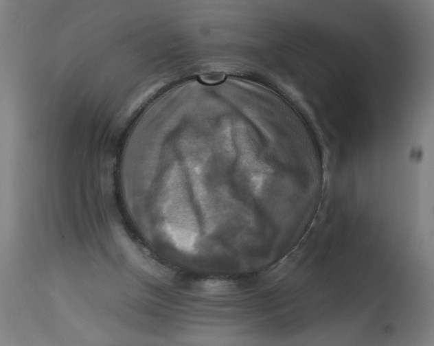 X0000113220154200910081350