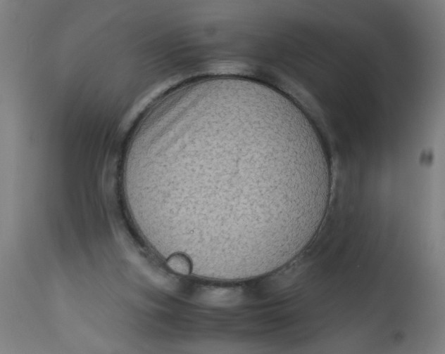 X0000113220155200910081350