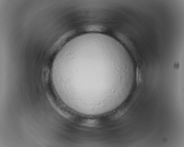 X0000113220157200910081350