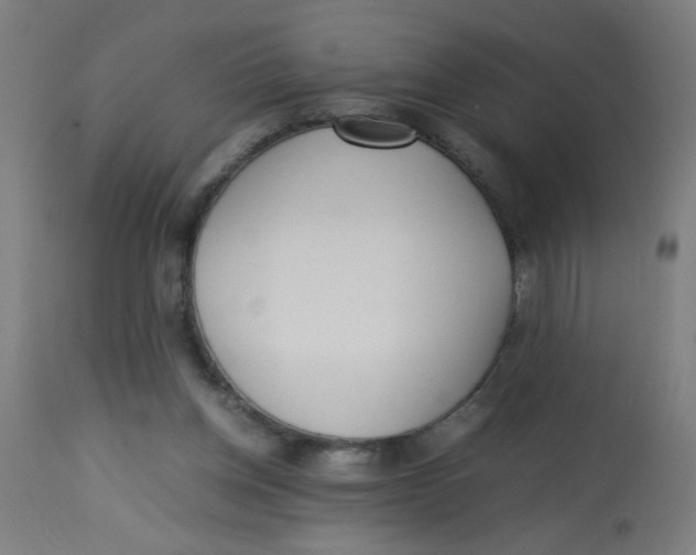 X0000113220158200910081350