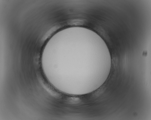 X0000113220159200910081350