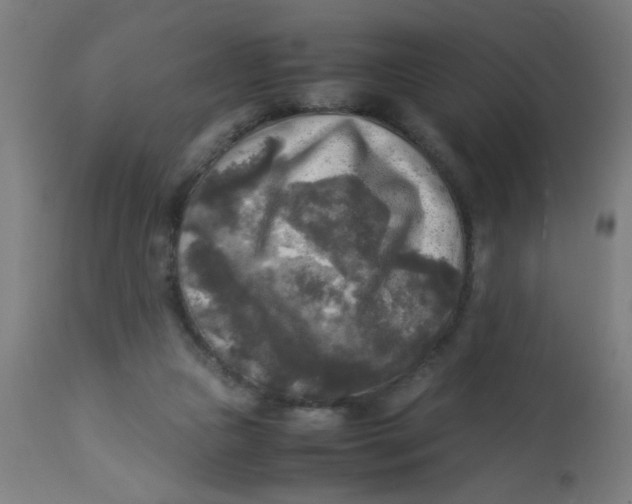 X0000113220161200910081350