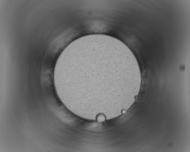 X0000113220162200910081350
