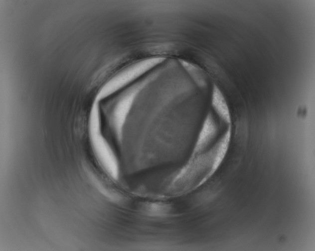 X0000113220165200910081350