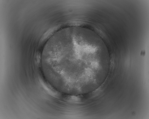 X0000113220166200910081350