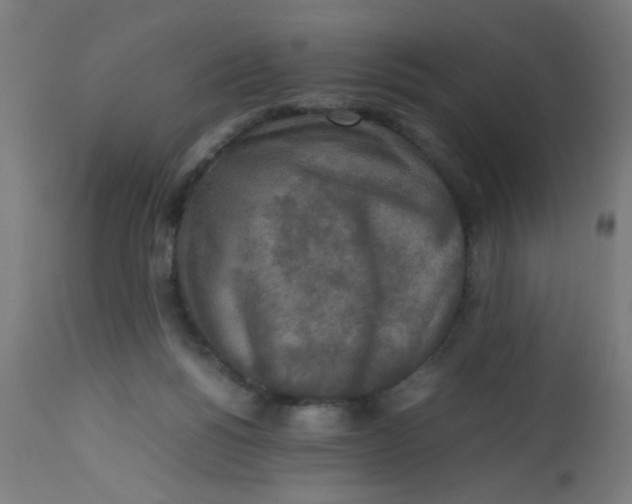 X0000113220168200910081350