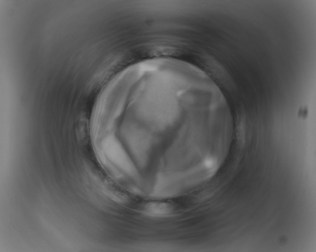 X0000113220169200910081350