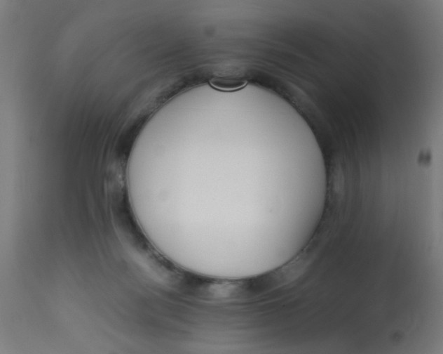 X0000113220172200910081350